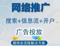 告别推广盲区！专业代发贴包收录让您流量翻倍