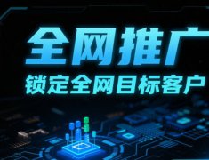 网络推广没效果？专业代发贴包排名，让您的品