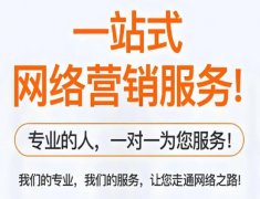 代写代发推广平台推荐,需要精准引流必看.